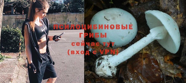 скорость Баксан