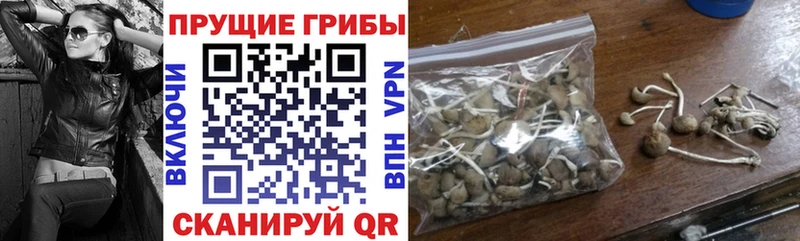 Галлюциногенные грибы GOLDEN TEACHER  darknet состав  Красноперекопск  где купить наркоту  мега сайт 